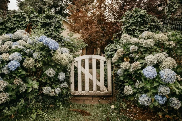 Garden fence