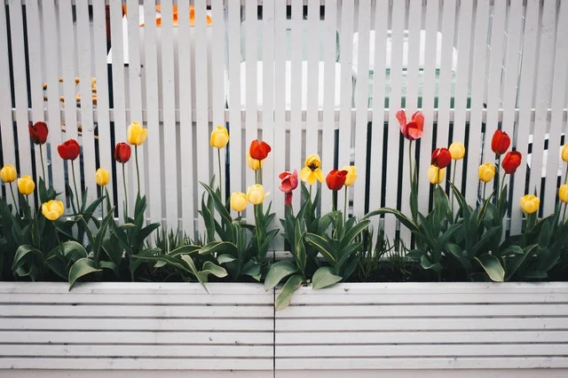 Fences 